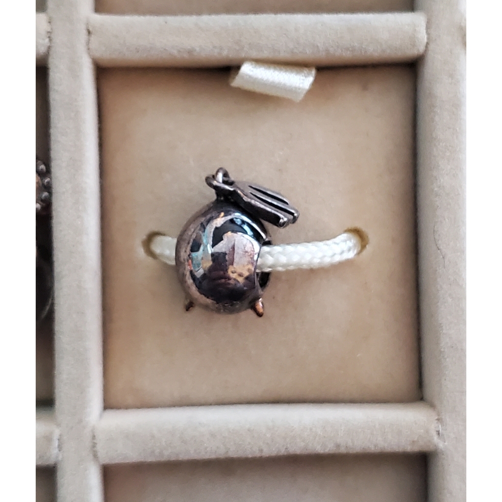 Charm 25$